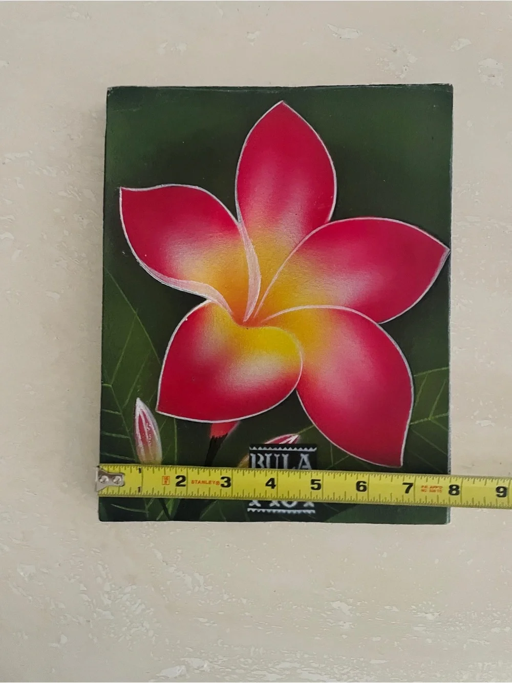 Fiji Plumeria Frangipani Flower Hand Painted Picture Handmade Home Decor Bula